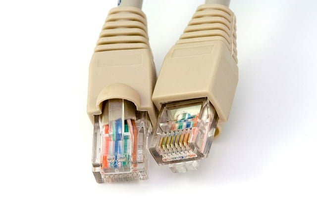 Câble Ethernet du routeur Verizon