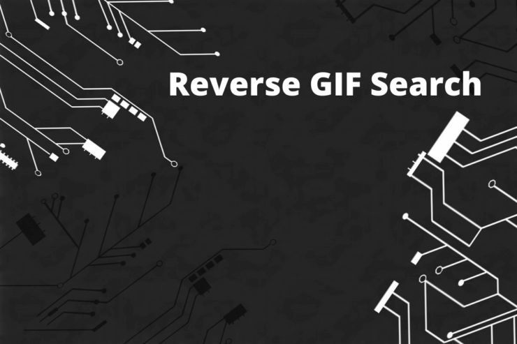Ricerca Inversa GIF