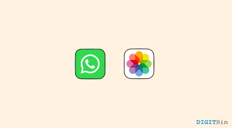 Come Scaricare Più Foto o Video da WhatsApp