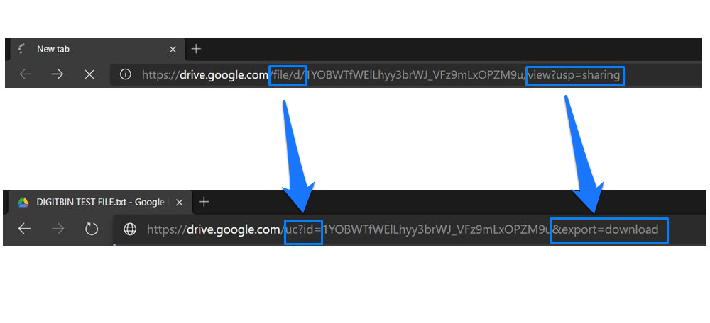 Google Drive Angepasste URL