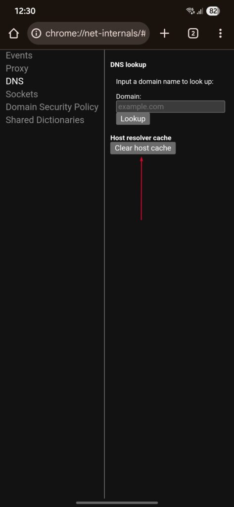 chrome://net-internals를 사용하여 DNS 캐시 지우기