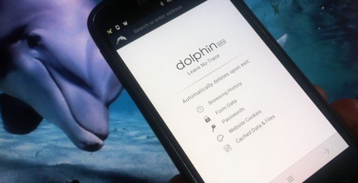 Dolphin Zero