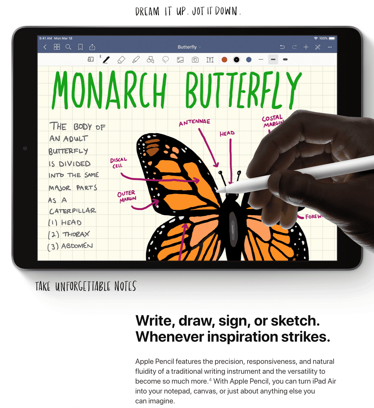 Immagine iPad Air 9