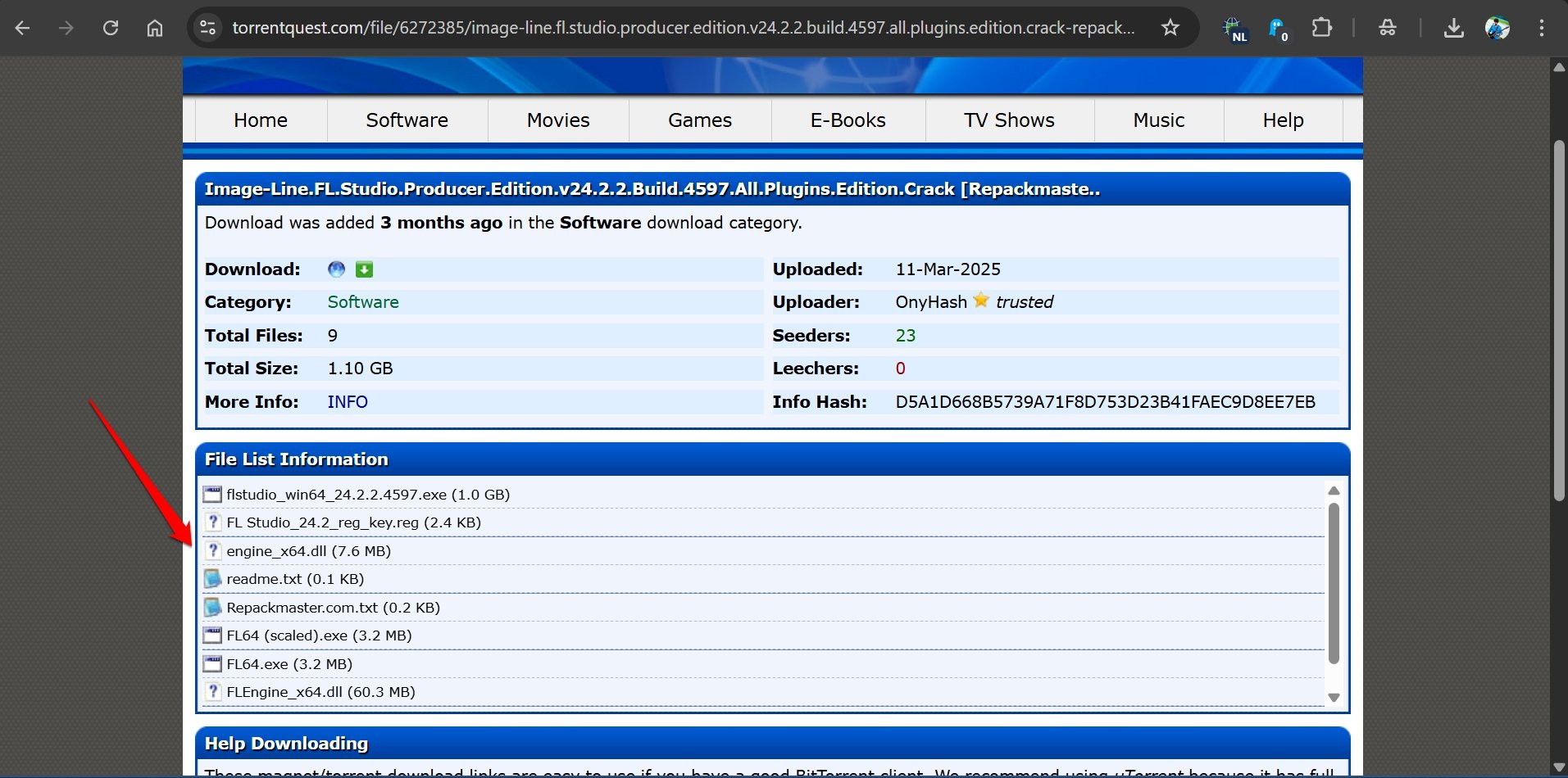 controlla i file nel torrent