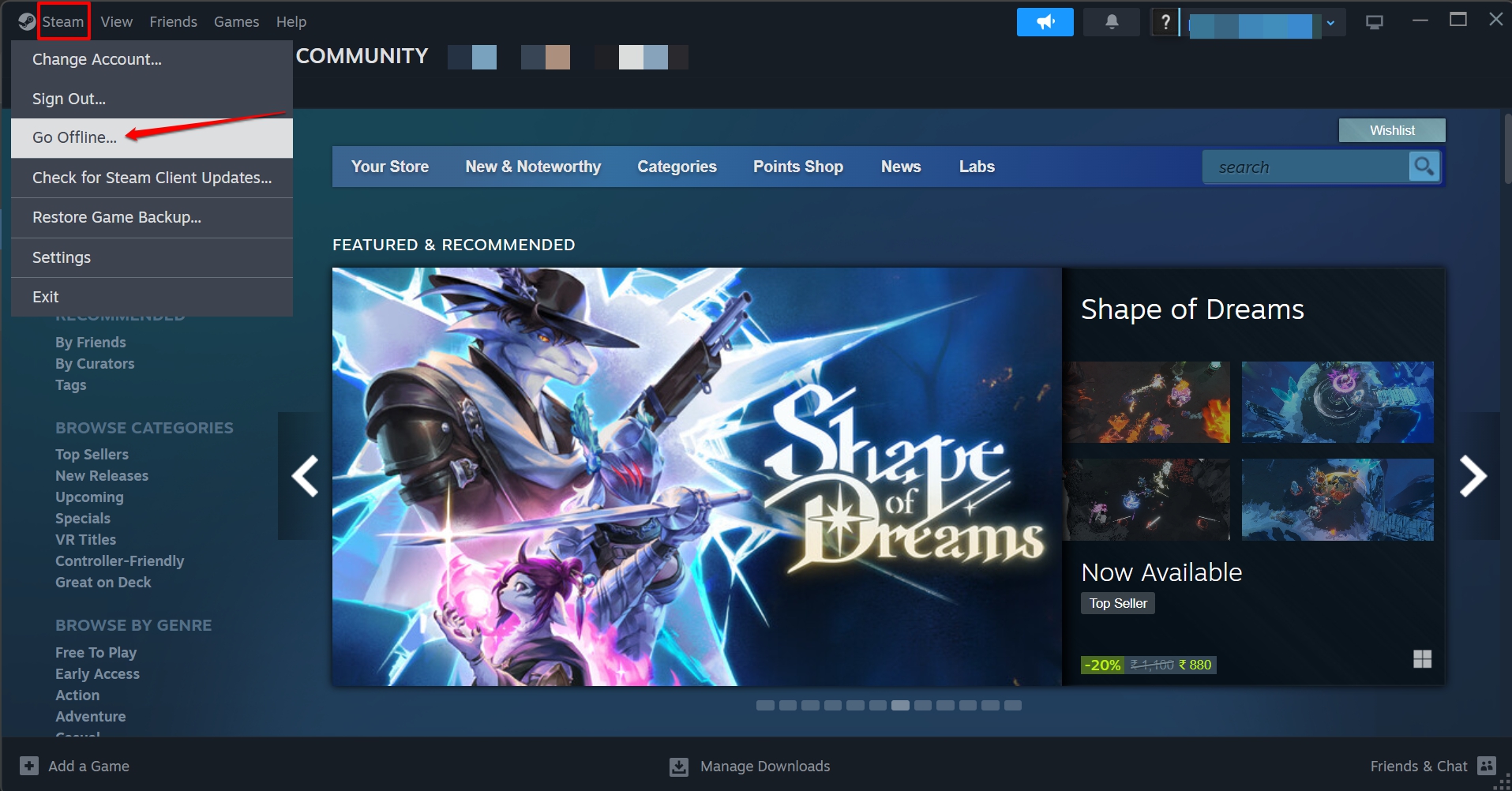 come andare offline su Steam