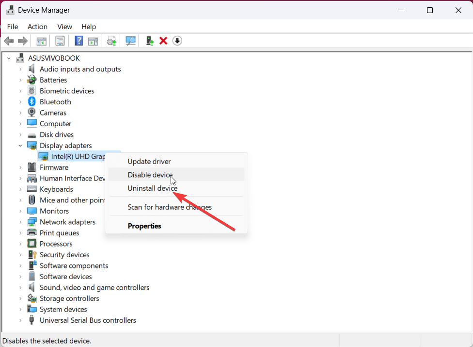 Disinstalla driver video