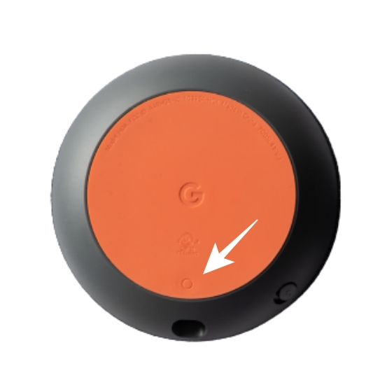 Factory Reset Google Home Mini