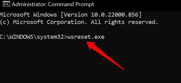 ripristina windows store usando cmd
