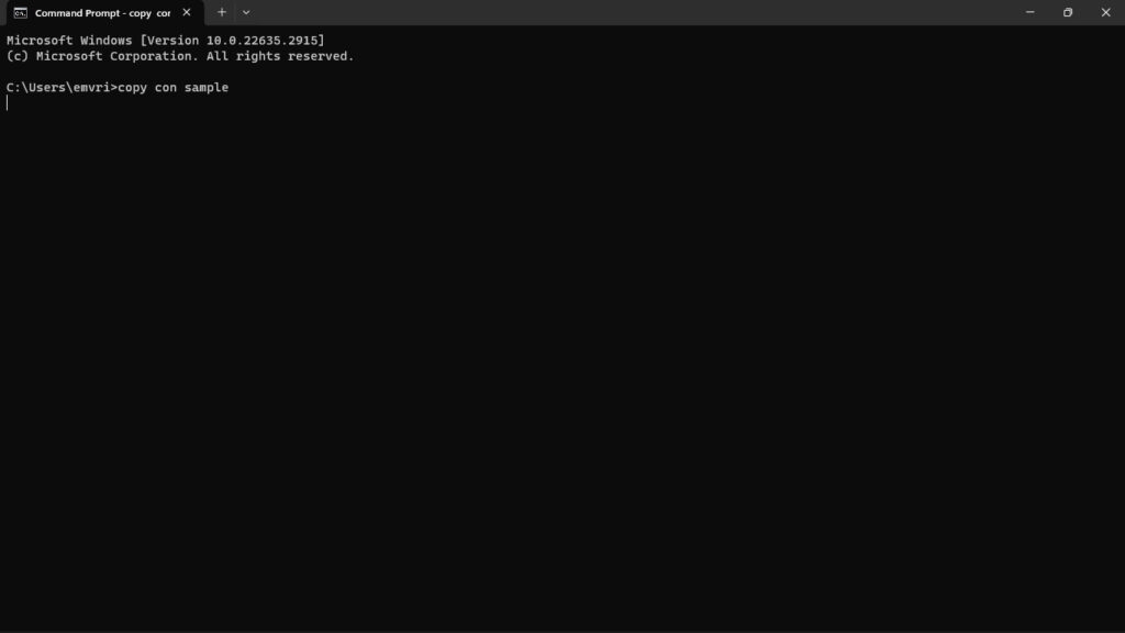 Copy Con メソッド - コマンドプロンプトを使用してファイルを作成する