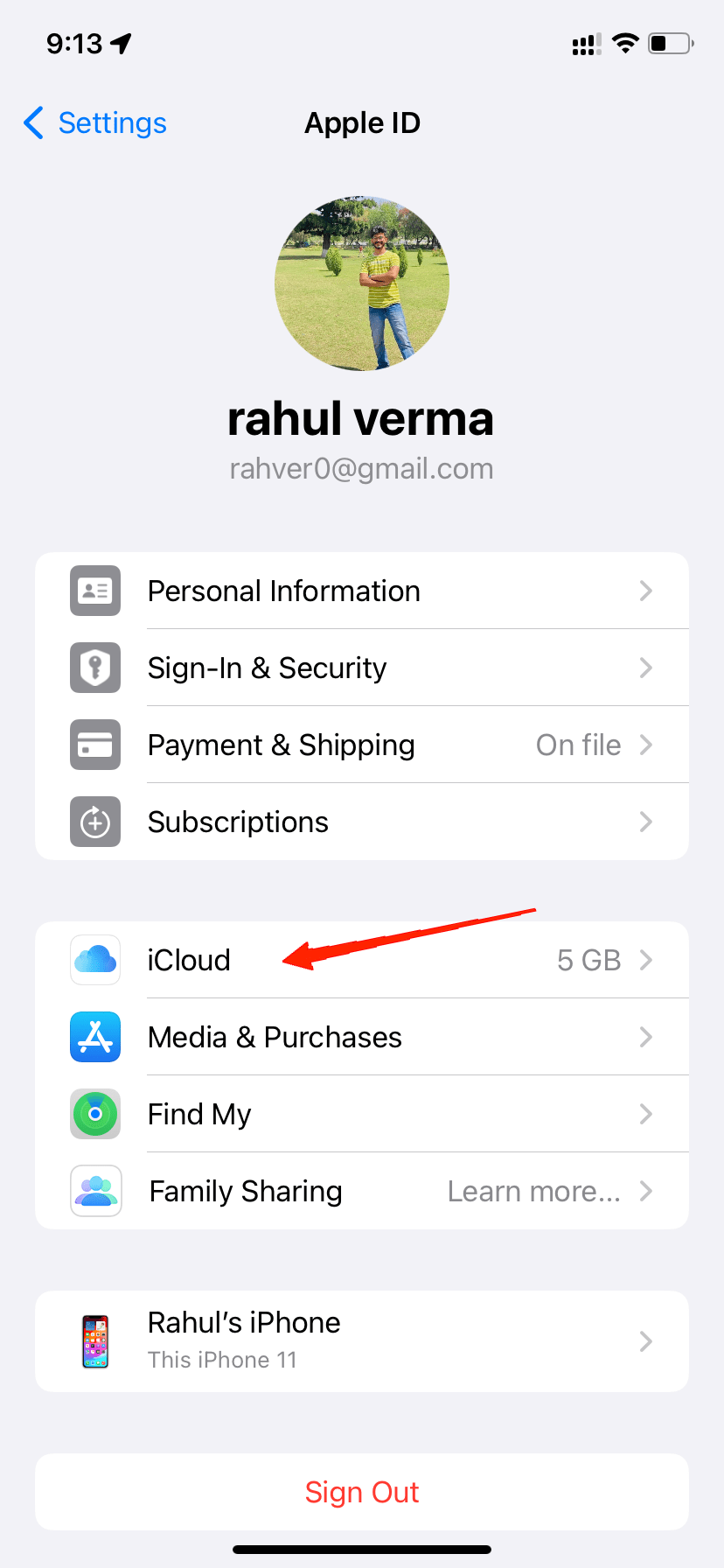 Ve a iCloud.