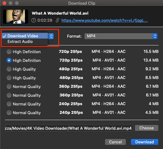 Video herunterladen oder Audio extrahieren