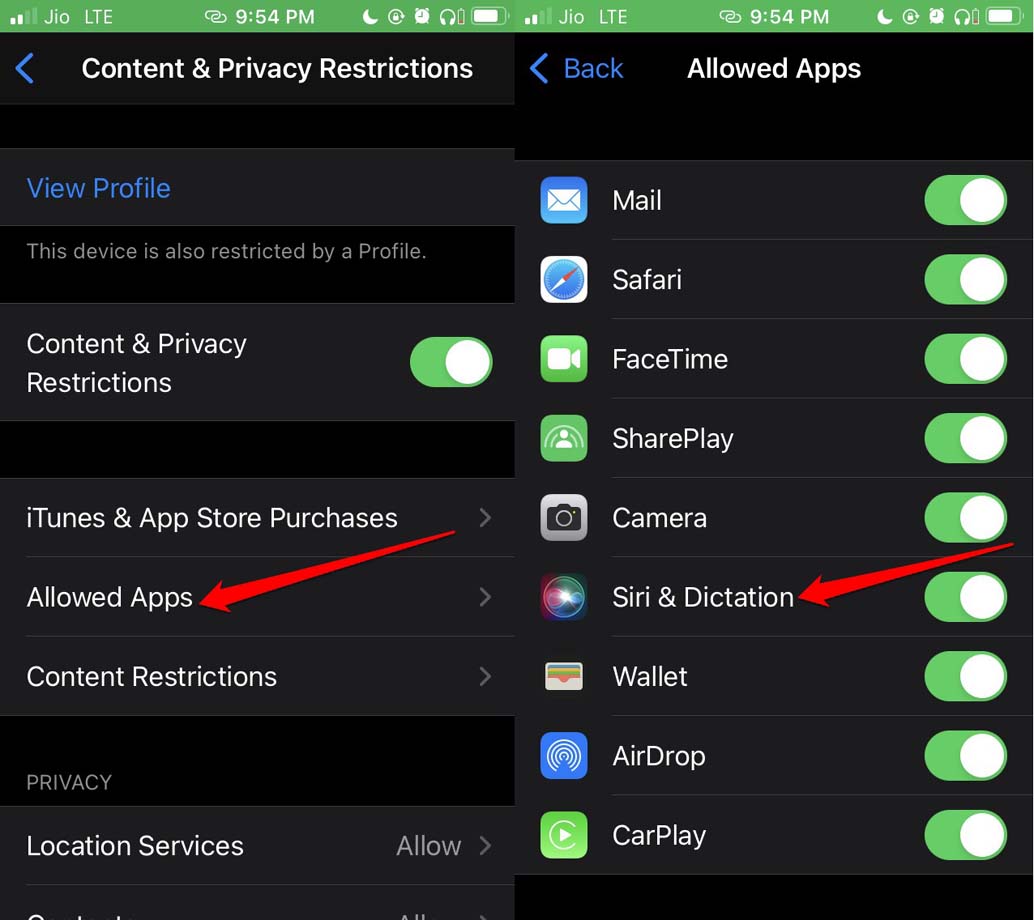 iPhoneでSiriと音声入力を有効にする