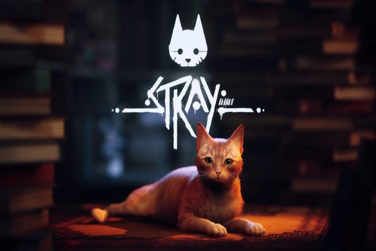 Как получить пончо для Эллиота в Stray