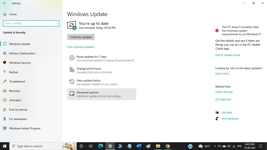 Como corrigir o erro 'api-ms-win-crt-runtime-l1-1-0.dll ausente'?