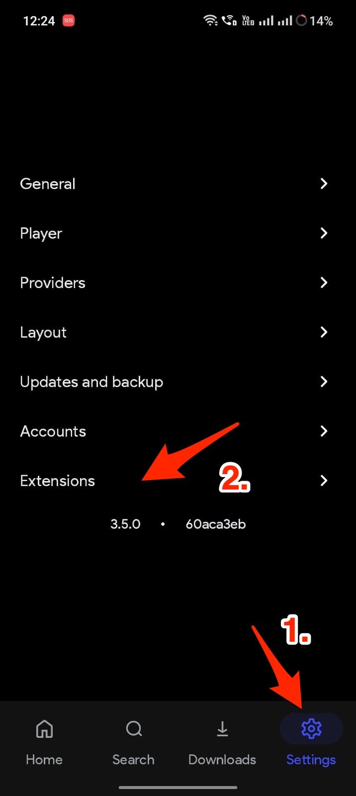 Haz clic en Extensiones Cloudstream