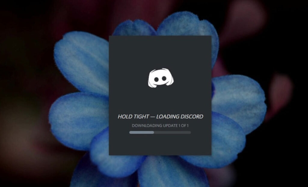 Actualizar la Aplicación de Discord - El Tema del Perfil de Discord No se Guarda