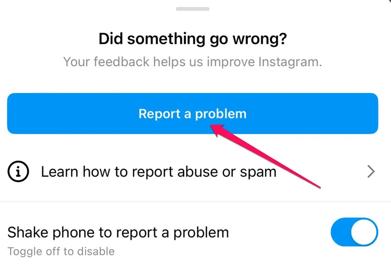 Reportar el problema a Instagram -
