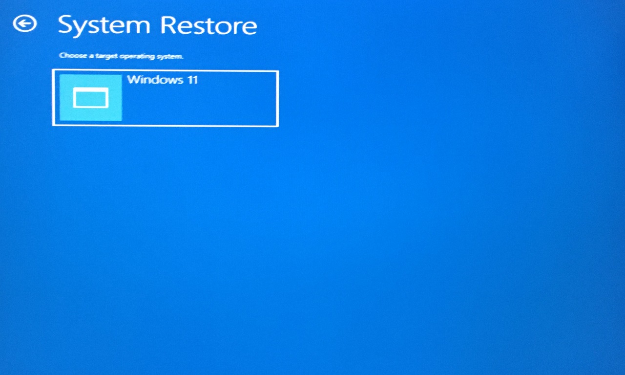 7 - Elegir Windows 11 OS