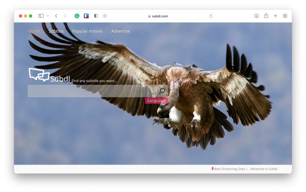 Melhores Sites para Download de Legendas em Inglês