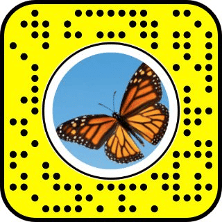 Lente de Mariposas en Snapchat