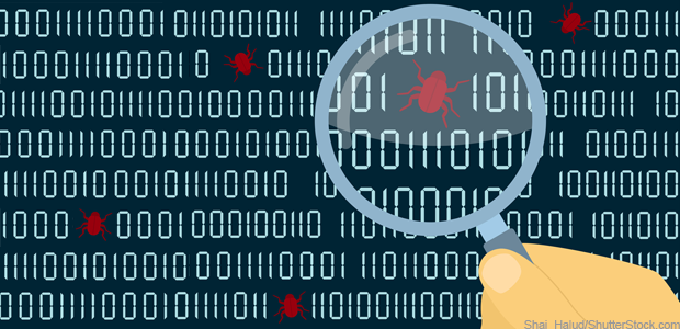Bug-Bounty-Programm
