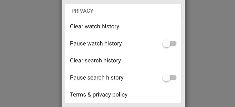 Borrar y pausar historial en iPhone IOS