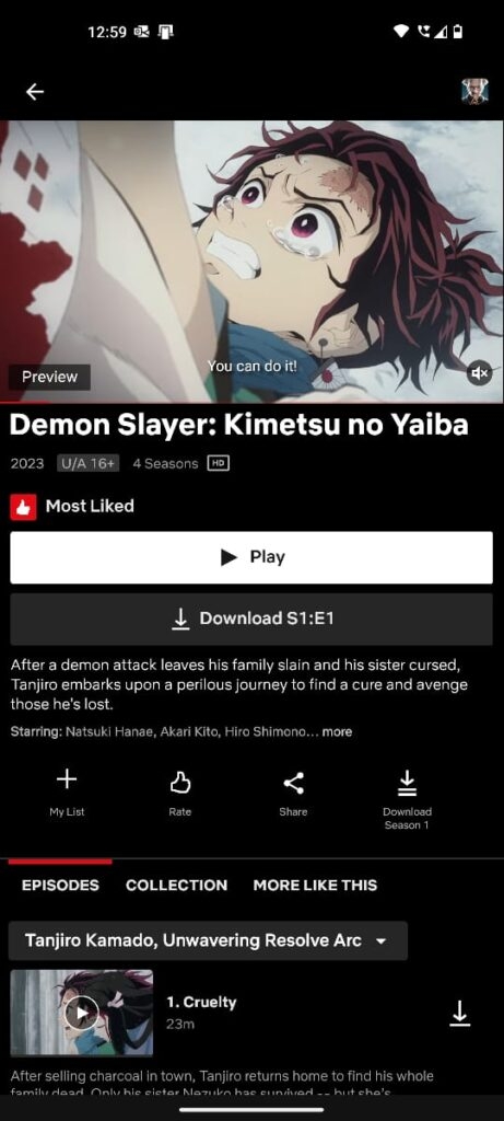 Netflix - Mejores Aplicaciones de Streaming de Anime para Android e iOS