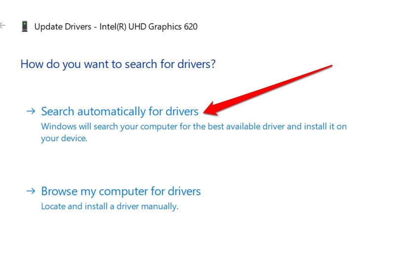 cerca automaticamente il driver grafico