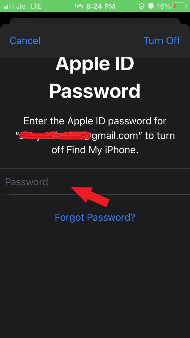 enter Apple ID password