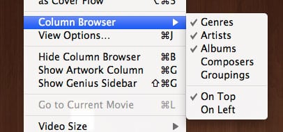 Sofort-Experte: Geheimnisse & Funktionen von iTunes 9
