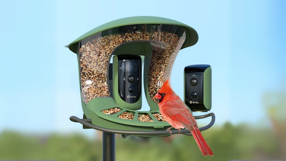 組み込みカメラを搭載したBirdfyバードフィーダーの高度なAI技術