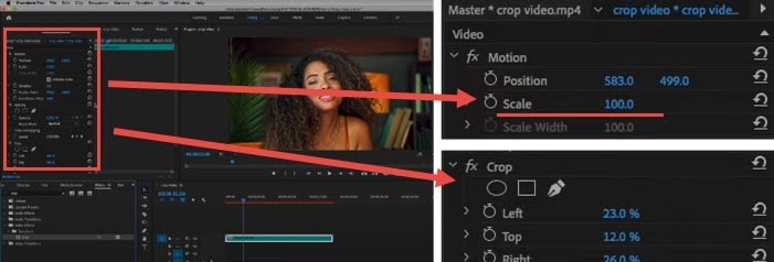 Premiere Pro