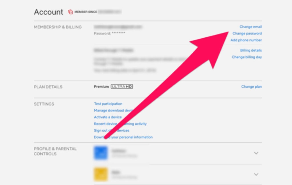 Mudar a Senha na Netflix - Muitas pessoas estão usando sua conta Netflix