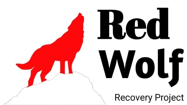 RedWolf - Best Custom Recovery for Android