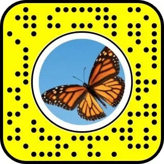 A través de la imagen del Snapcode - Desbloquear la Lente de Mariposas en Snapchat
