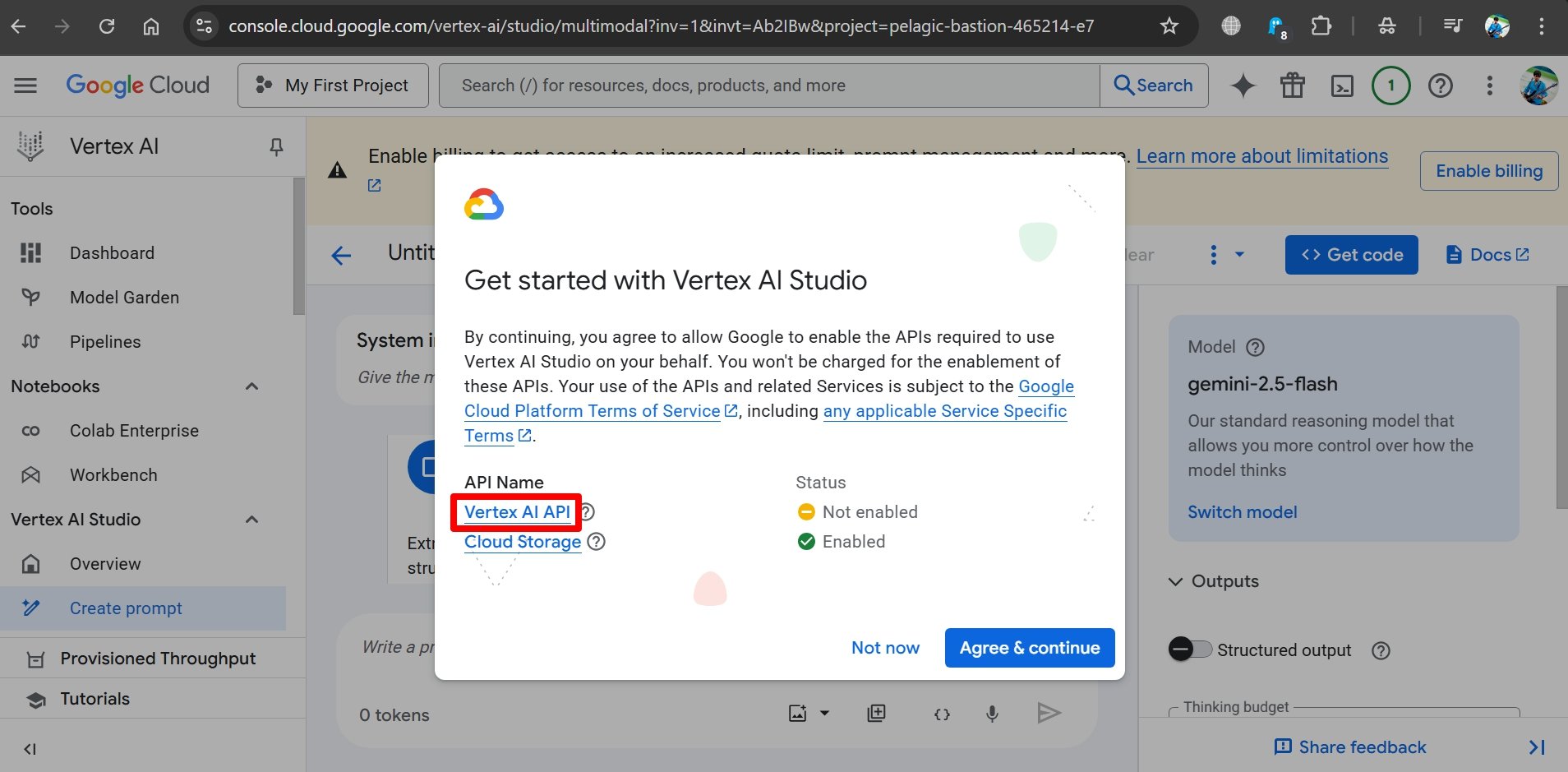 Vertex AI API 접근