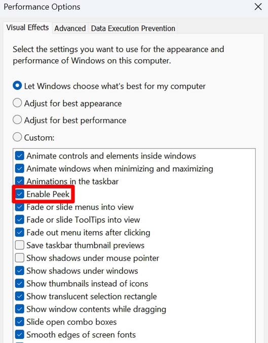 Windows 11에서 Peek 활성화