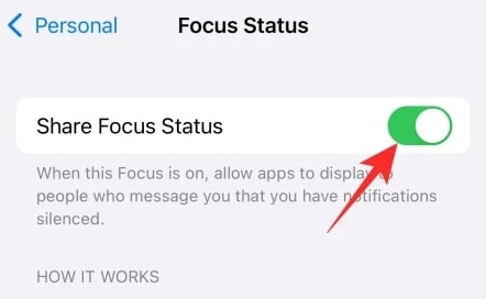 Was bedeutet der Share Focus Status auf iOS?