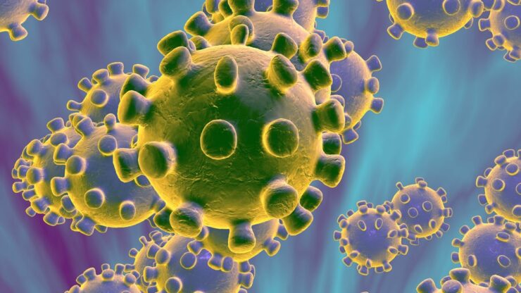 Application APK Coronavirus