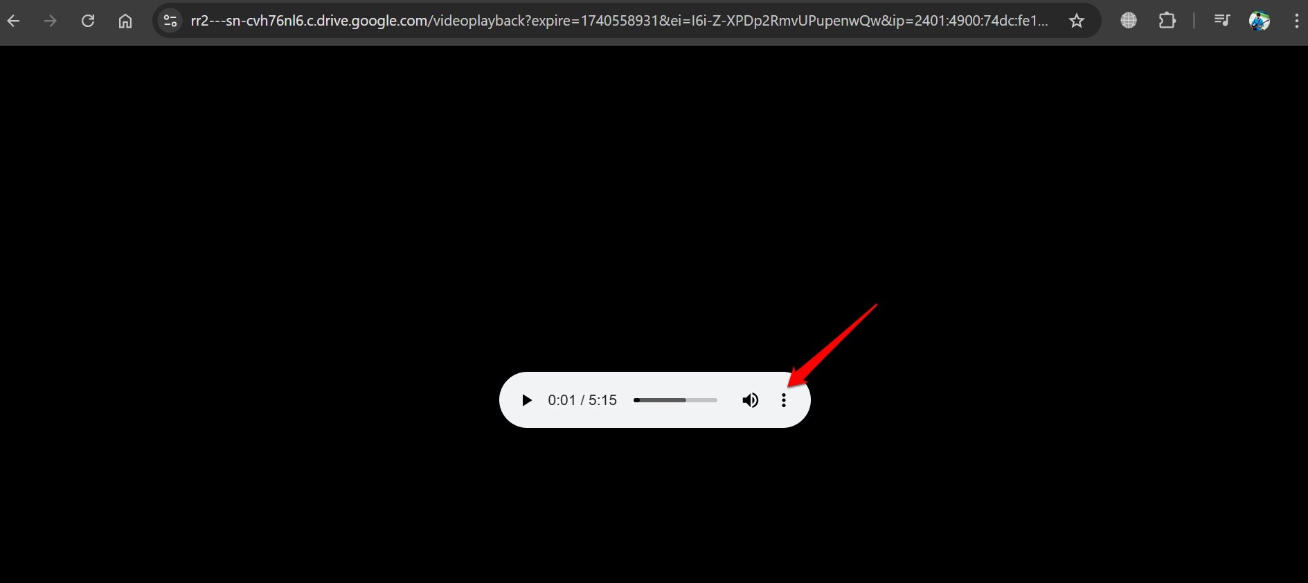 option pour télécharger l'audio extrait de la vidéo