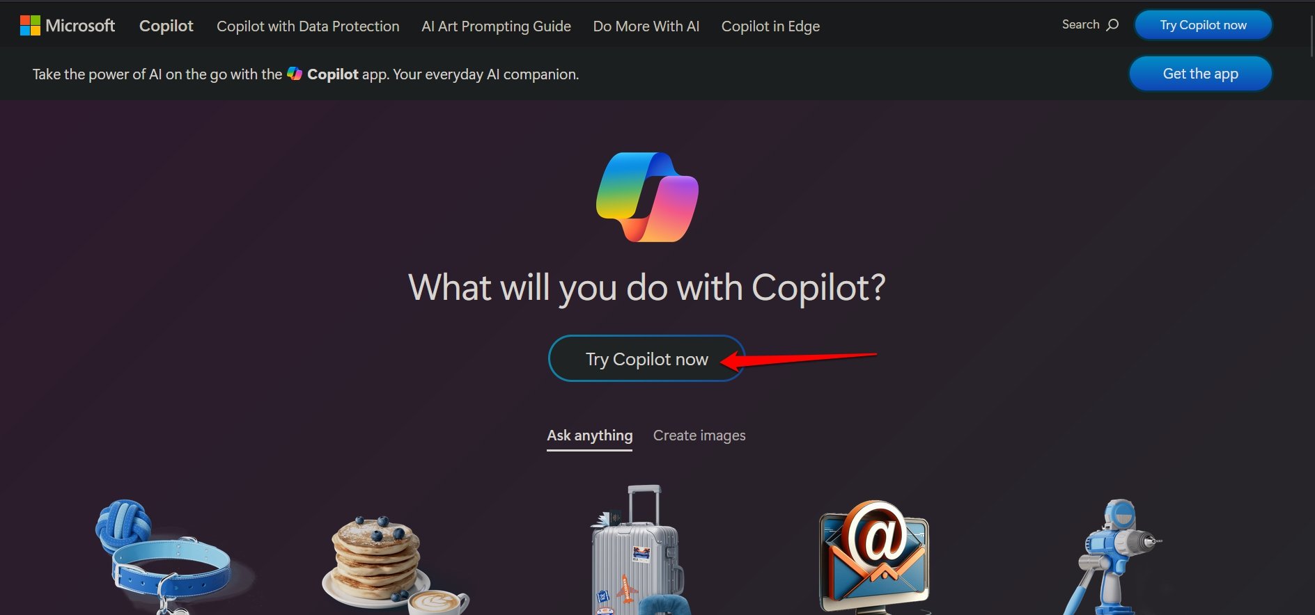 prova copilot