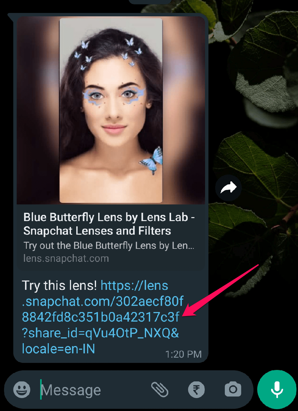 ¿Cómo desbloquear la lente de mariposas en Snapchat? 1