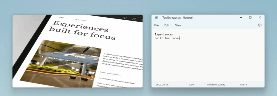 Extractor de texto