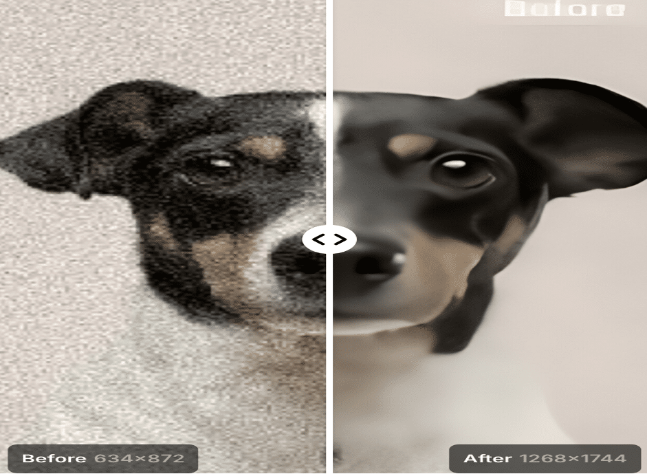 Critique de PhotoGrid : Meilleur Agrandisseur d'Image AI Gratuit