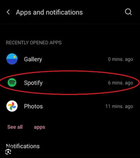Verificar permisos de la aplicación de Spotify - Spotify DJ no aparece