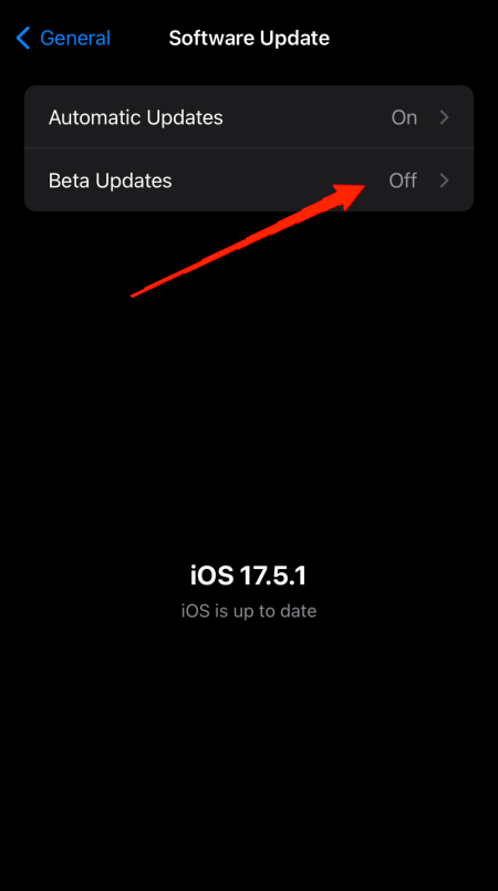 Gehe zu Allgemein, dann zu Softwareupdates und tippe auf Beta-Updates.