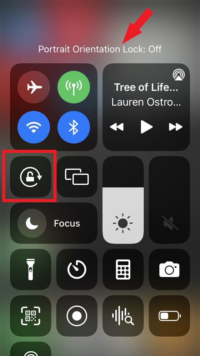 orientation portrait iOS