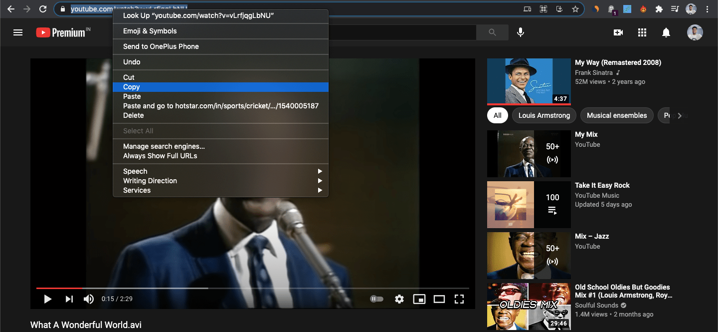 YouTube-URL kopieren
