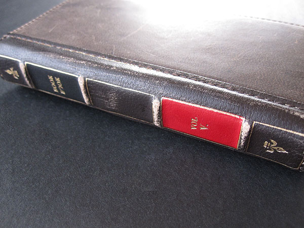Revisão: Twelve South BookBook para iPhone 5