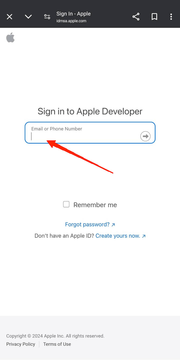 Melde dich nun mit deiner Apple-ID an.